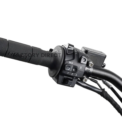 Arctic Leopard XE Pro R